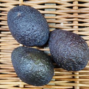 Avocados Has / Ripe Box
