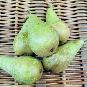 Conference Pears - 1kg