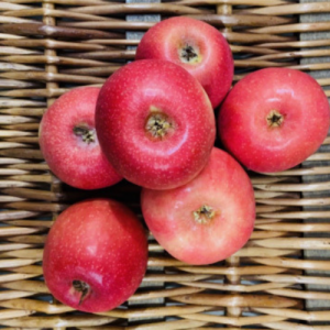 Pink Lady Apples 15KG BOX