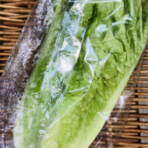 Cos Lettuce - box