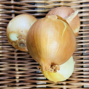 Onions White English - 1kg