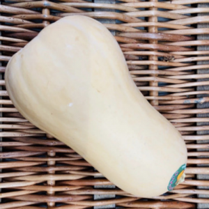 Butternut Squash x 1