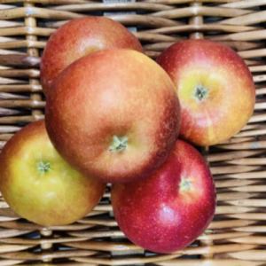 Braeburn Apple's 1kg