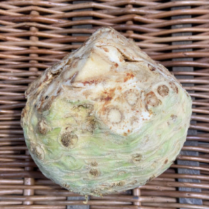 Celeriac x 1