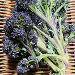 Purple Sprouting Broccoli