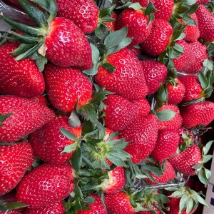 Dutch Strawberries - Box