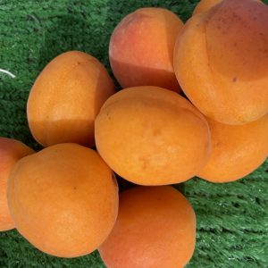 Apricots