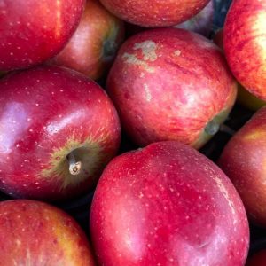 Cox's Apples - 1kg
