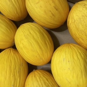 Honeydew Melons x 1