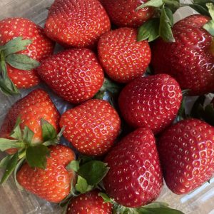Strawberries Class 1 box