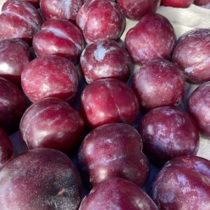 Red Plums x 4