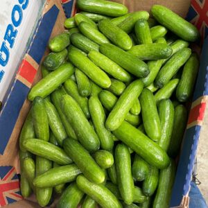 Baby Cucumbers Box