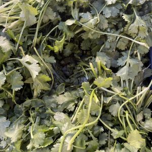Coriander Bunch 50g