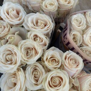 Roses